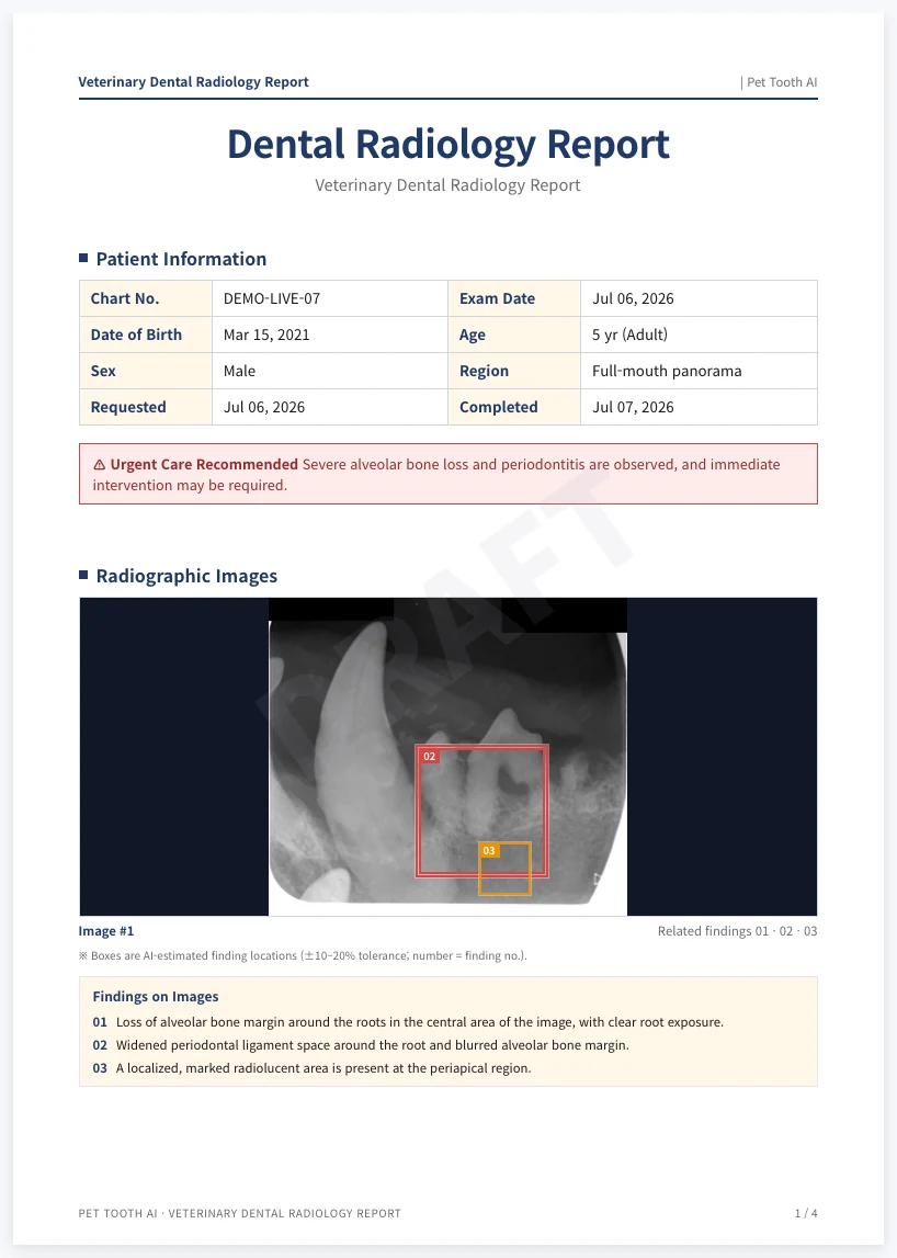 Report page 1: patient details, urgent-care banner, X-ray with lesion regions marked