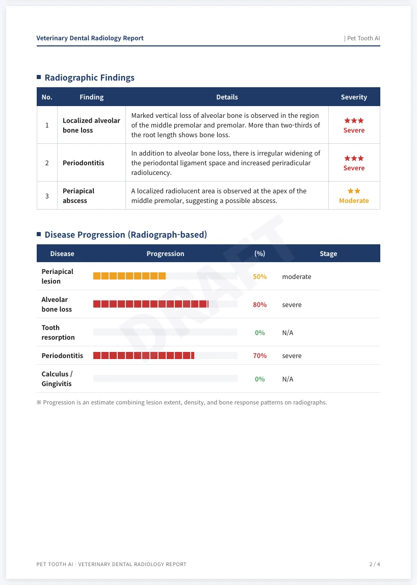 Report page 2: findings table by severity and disease progression chart