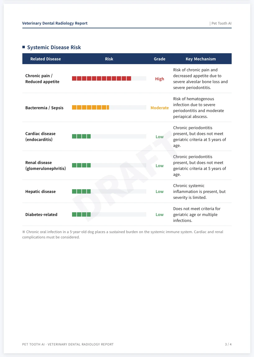 Report page 3: systemic disease risk assessment