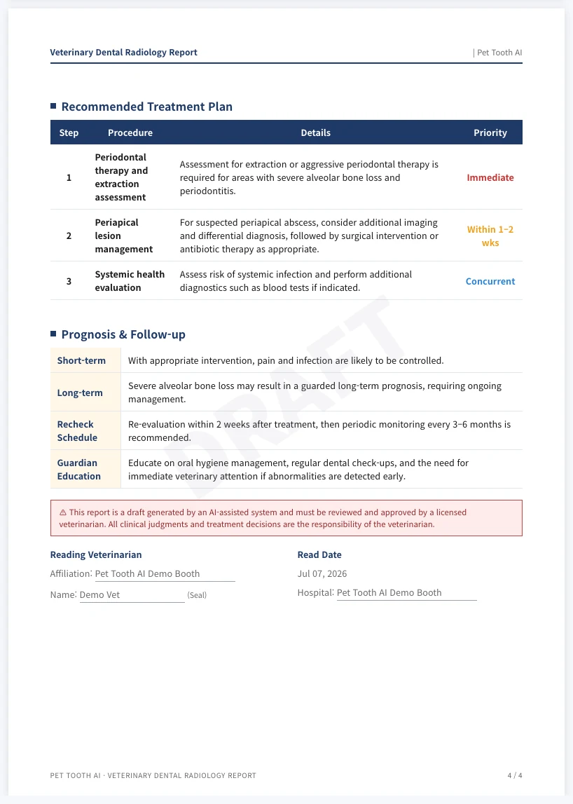 Report page 4: prioritised treatment plan, prognosis and veterinarian signature block